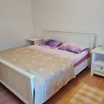 Bataja Brkac