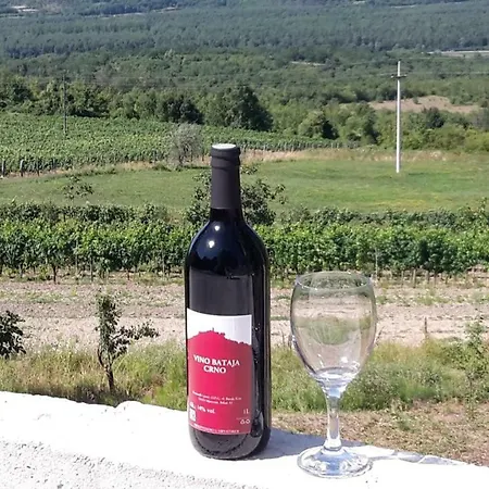 Apartamento Bataja *