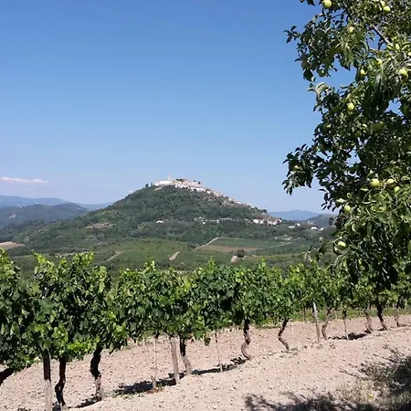 Апартаменты Bataja